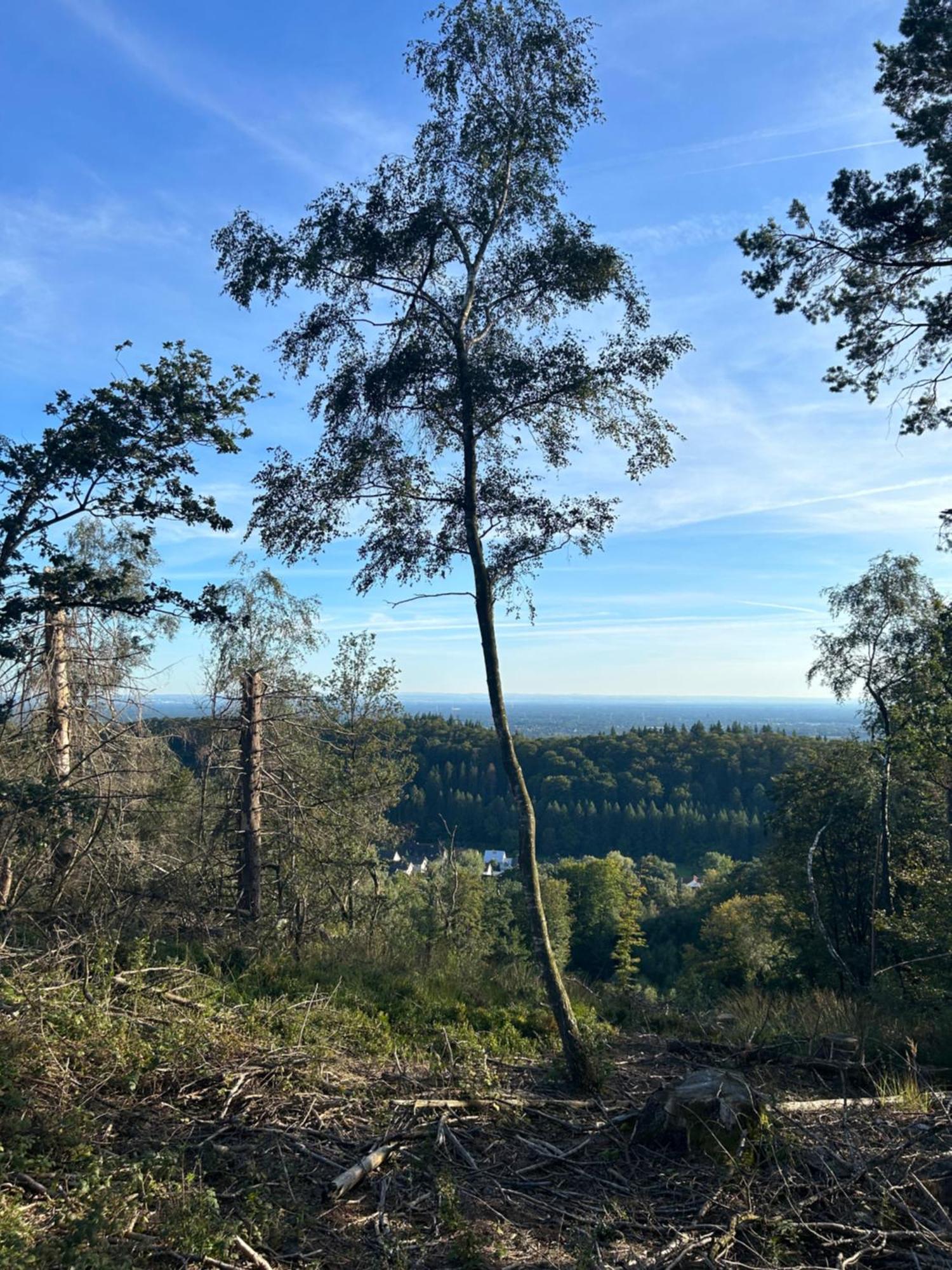 Auszeit Am Toensberg Oerlinghausen Teutoburger Waldアパートメント エクステリア 写真